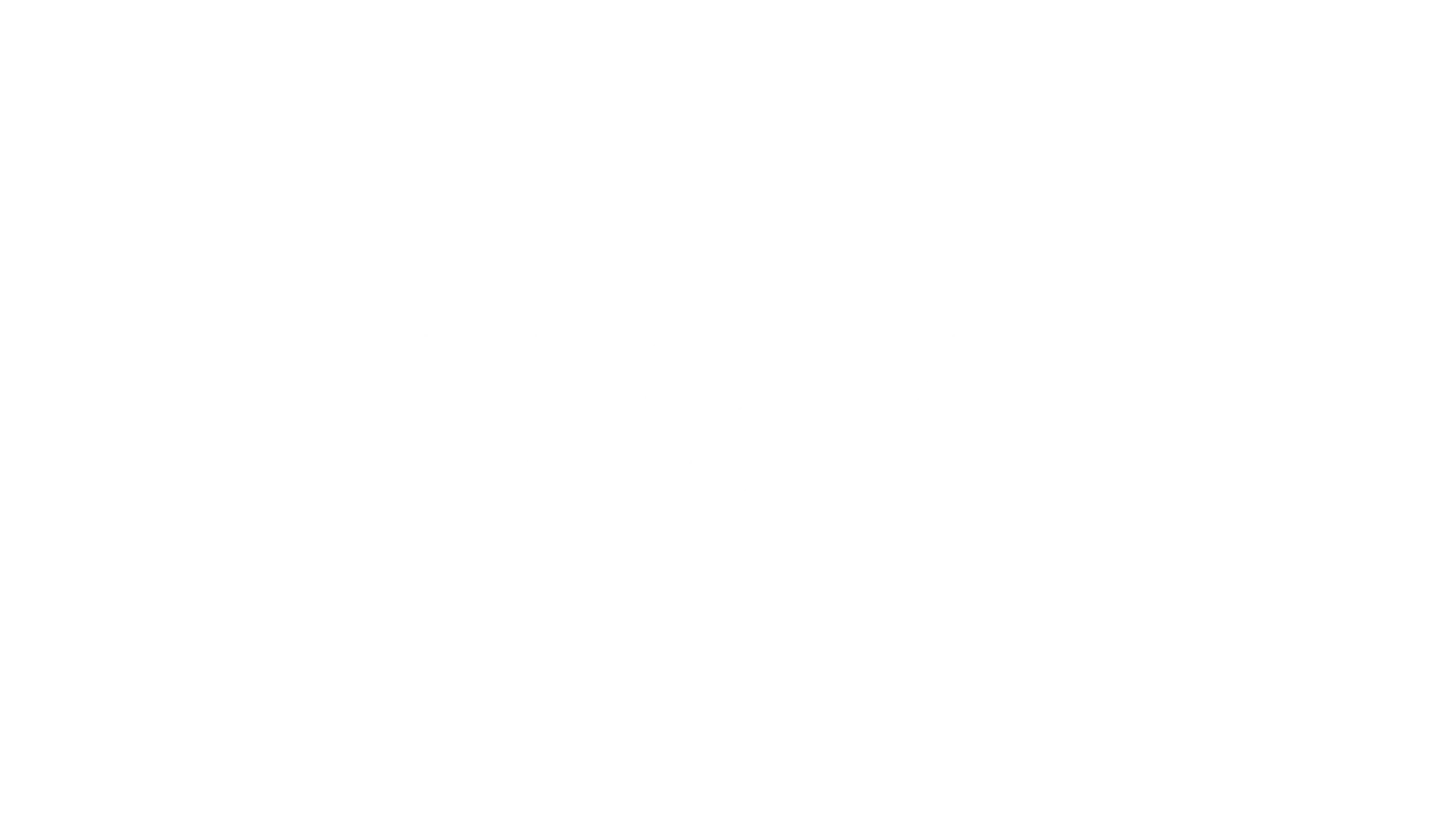 Festa Logo